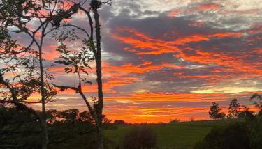 Cabana Araucária em meio à natureza - Foto 4