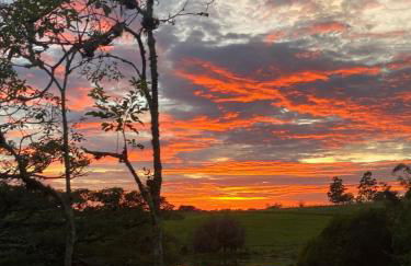 Cabana Araucária em meio à natureza - Foto 4
