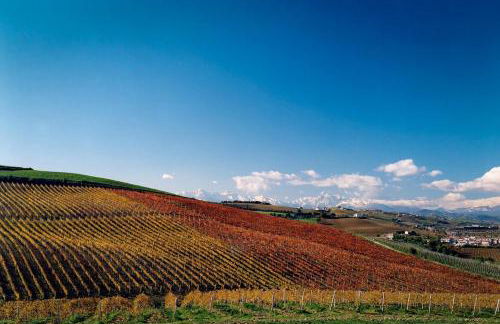 Agriturismo Agrimare Barba - Foto 57