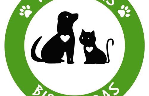 Apartamentos Caloca - Photo 7