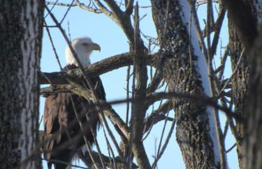 Retreat in a Stunning House - Foto 28