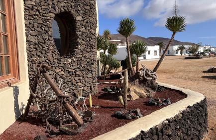 Flor de Cactus, La Graciosa - Foto 28