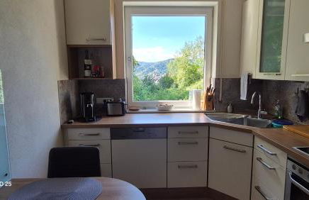 RHEIN-WALD Exklusives Apartment mit Rheinblick - Foto 13