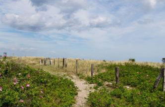 Schönes Ferienhaus mit Garten & Mid Century Möbeln in Strand nähe Avendorf - Foto 14
