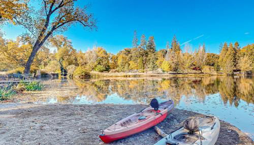 1BR Dog-Friendly Lakefront Cabin with Canoes - Foto 2
