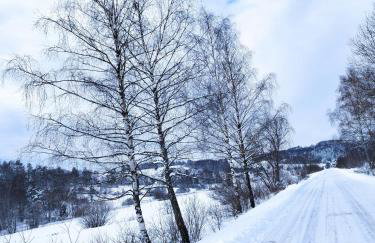Ropienka Ski - Foto 27