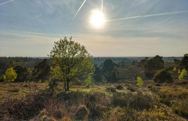 Holiday Home in Haarle Near Sallandse Heuvelrug - Foto 26