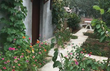 Apartmani Anka - Photo 11