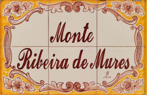 Monte Ribeira de Mures - Foto 24