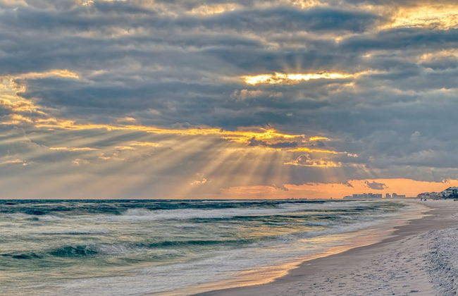 Treasured Times - Foto 25