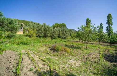 Biancolilla - Foto 58