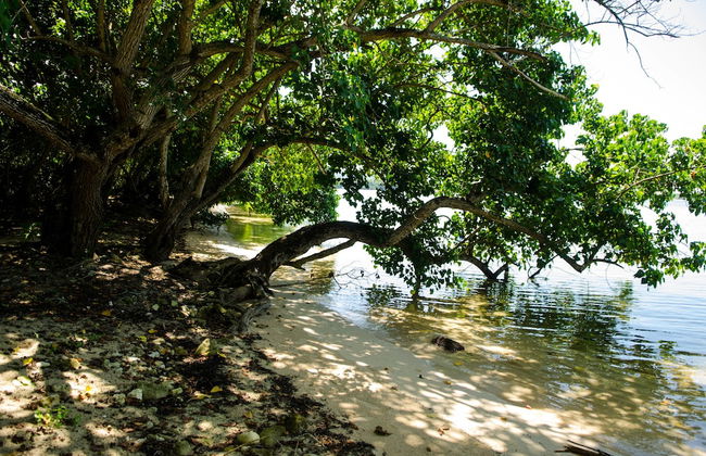 Seas the Day Sanctuary Little Bay - Photo 28