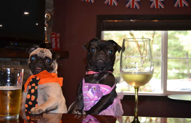 Redwoods River Resort - Foto 2