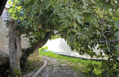 The House Aunt Regina - Foto 36