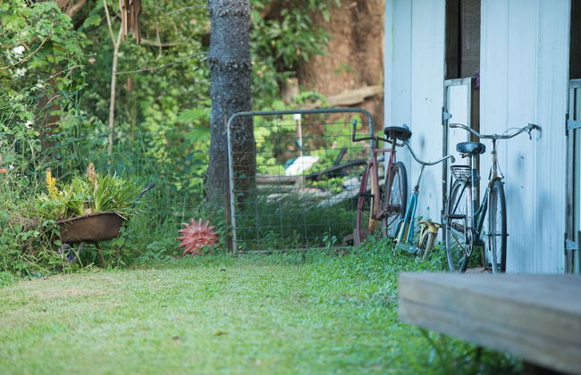 Fig Tree Retro Studio - Foto 35