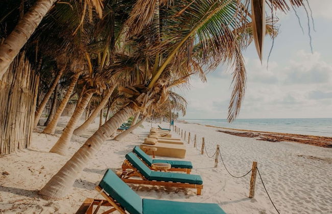 Beautiful Jungle Loft With Rooftop Pool and Gym - Photo 41