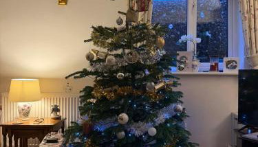 Hideaway Cottage - Photo 4