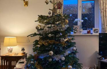 Hideaway Cottage - Photo 4