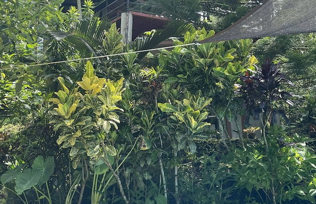 The Twin Studio Cottages - Foto 22