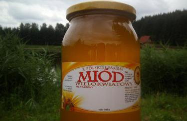 HEXAGON HONEY HOUSE+ prywatna plaża+jezioro+ stawy+ gospodarstwo+ pasieka - Foto 15