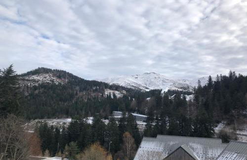APPARTEMENT AUX PIEDS DES PISTES DE SKI - Photo 17