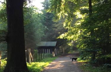 Hannover List 2 bedroom home away from home - Foto 10