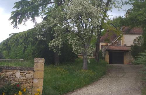 Le Baron Perché - Foto 10