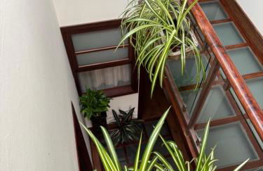 El rincón de Carolina - Photo 20