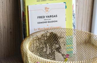 magnifique villa vue mer avec piscine - Foto 7