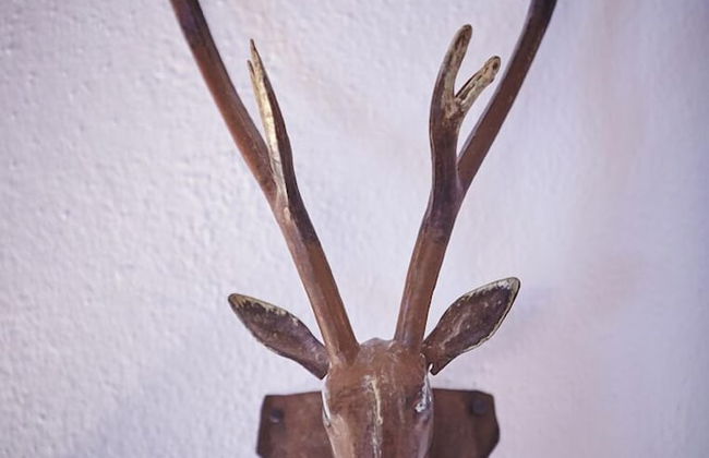 Landhaus Keil - Foto 41