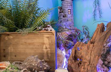 Apartamentos Turísticos La Boutique del Mar - Foto 56