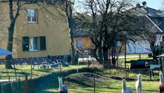 Gelbes Haus Seenland Ferienwohnungen XL - Foto 3