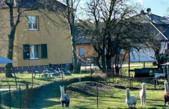 Gelbes Haus Seenland Ferienwohnungen XL - Foto 3