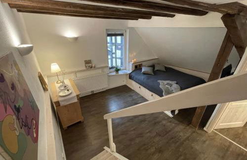 2 kleine Altstadt-Ferienwohnungen mit Garten & Herz - Foto 38