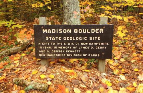 Cozy in the Woods - Foto 30