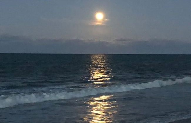 3 Bed-2 Bath Condo-new Smyrna Beach Florida - Foto 67