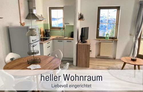 Fewo Herzgrün direkt an Wanderwegen mit traumhafter Aussicht Sauna E-Ladestation - Foto 3