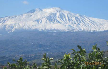 Ambra di mare - Foto 48