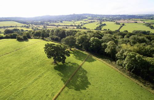 Downclose Piggeries - Photo 23