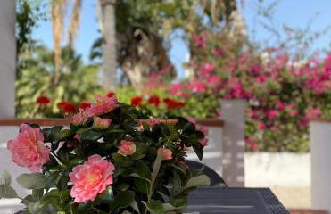 Villa Sara - Villa con piscina - Foto 18