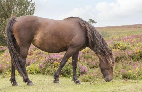 9 Malthouse Court - Foto 28