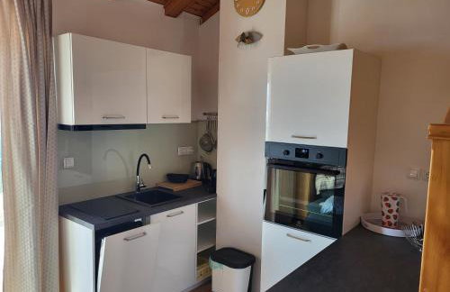 Apartmani Amila-Pisak - Foto 3