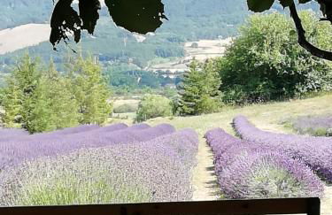 Camera con vista - Photo 30