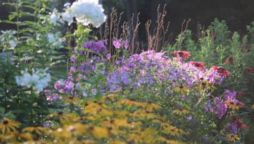 Modern Cottage with Peeks of Ocean Views - Foto 5