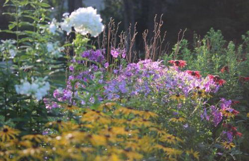 Modern Cottage with Peeks of Ocean Views - Foto 5