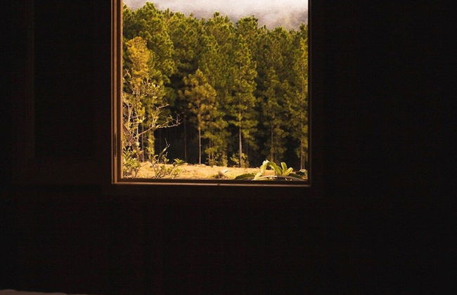 Chalé Sítio Corvo Branco - Photo 9