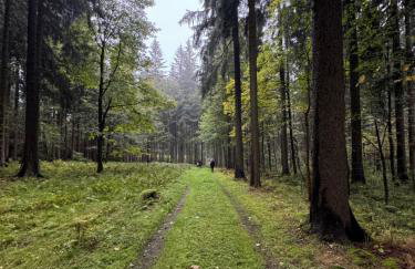 Erzgebirgsglück Jöhstadt EG - Foto 20