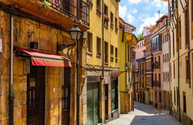 Visita guiada Premium para grupos pequeños a Oviedo Monumental - Foto 7