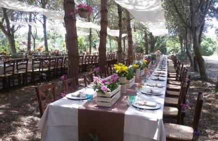 Agriturismo la Mimosa - Foto 29