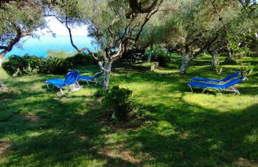 VILLA AGIA AIKATERINI - Foto 59